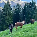 Un Pas Comme Les Autres! Morgins