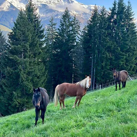 Un Pas Comme Les Autres! Morgins