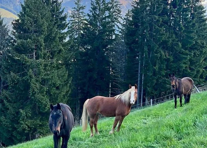 Un Pas Comme Les Autres! Morgins